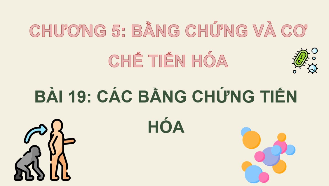 Giáo án PowerPoint Sinh học 12 KNTT - HK 2
