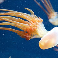 PowerPoint Sinh học 12 Bài 29: Trao đổi vật chất và chuyển hoá năng lượng trong hệ sinh thái