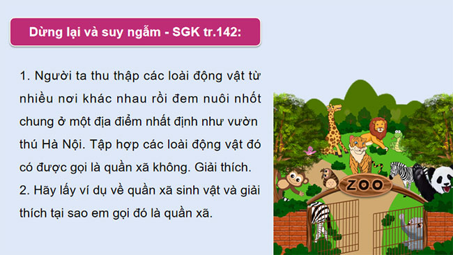 PowerPoint Sinh học 12 Bài 26