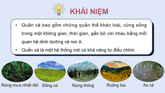 PowerPoint Sinh học 12 Bài 26