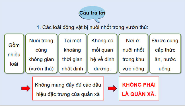 PowerPoint Sinh học 12 Bài 26