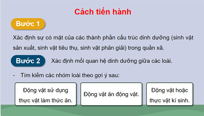 PowerPoint Sinh học 12 Bài 27 Kết nối tri thức