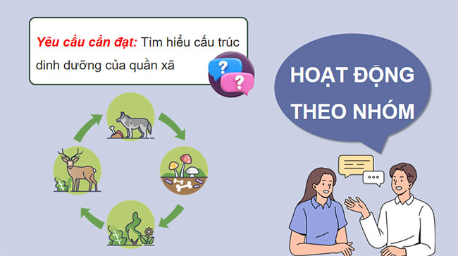 PowerPoint Sinh học 12 Bài 27 Kết nối tri thức