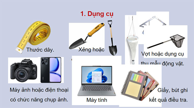 PowerPoint Sinh học 12 Bài 27 Kết nối tri thức