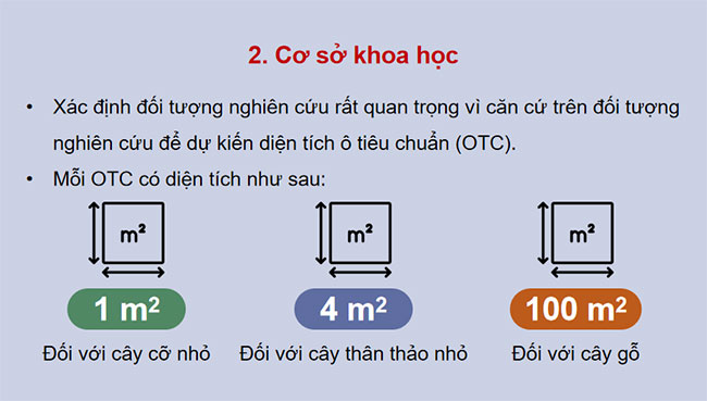 PowerPoint Sinh học 12 Bài 27 Kết nối tri thức
