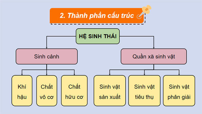  PowerPoint Sinh học 12 Bài 28: Hệ sinh thái