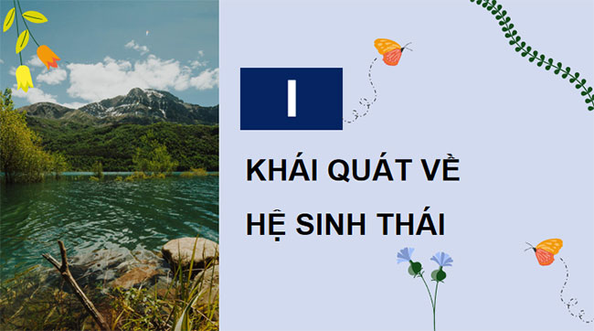  PowerPoint Sinh học 12 Bài 28: Hệ sinh thái
