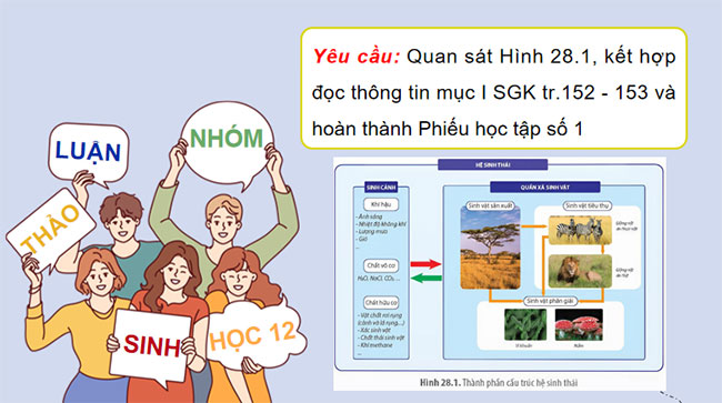  PowerPoint Sinh học 12 Bài 28: Hệ sinh thái