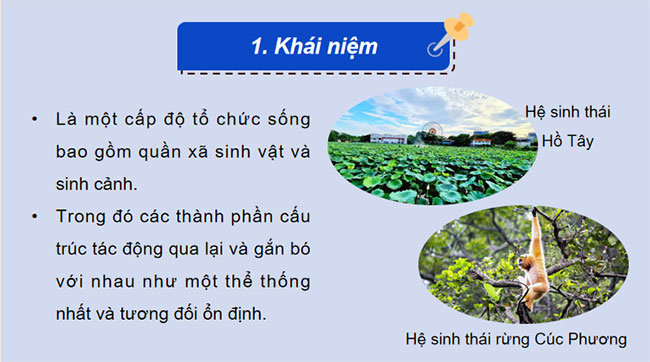  PowerPoint Sinh học 12 Bài 28: Hệ sinh thái