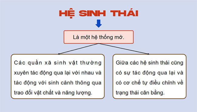  PowerPoint Sinh học 12 Bài 28: Hệ sinh thái