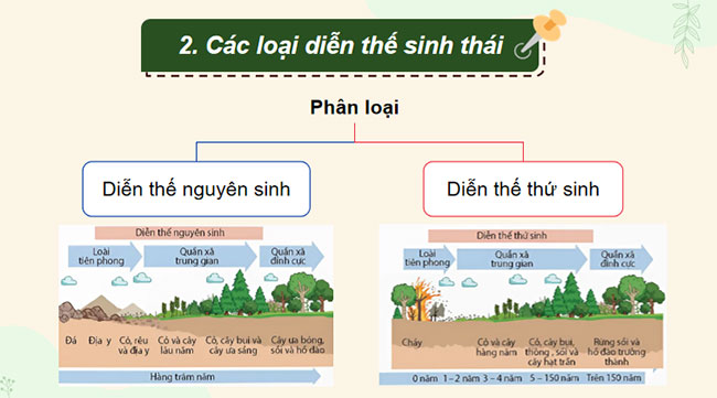 PowerPoint Sinh học 12 Bài 30 Kết nối tri thức 