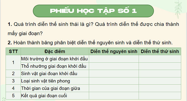PowerPoint Sinh học 12 Bài 30 Kết nối tri thức 