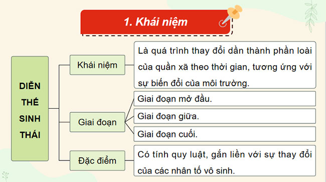 PowerPoint Sinh học 12 Bài 30 Kết nối tri thức 