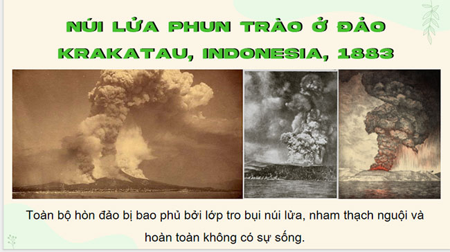 PowerPoint Sinh học 12 Bài 30 Kết nối tri thức 