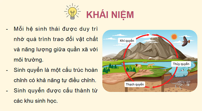 PowerPoint Sinh học 12 Bài 31