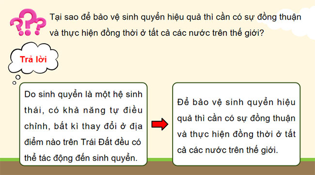 PowerPoint Sinh học 12 Bài 31