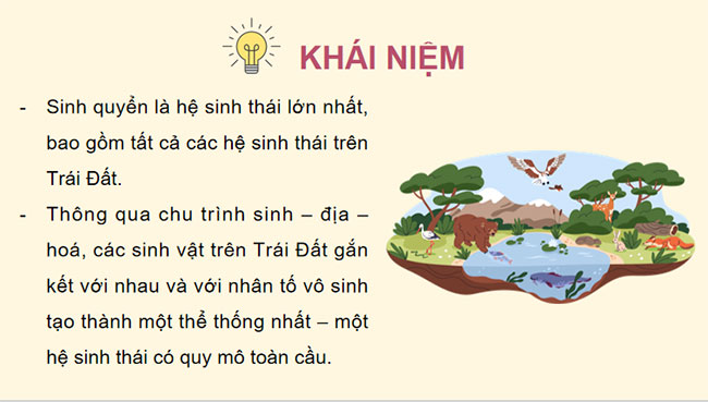 PowerPoint Sinh học 12 Bài 31