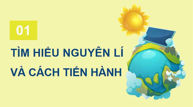 PowerPoint Sinh học 12 Bài 32 Kết nối tri thức 