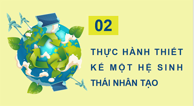 PowerPoint Sinh học 12 Bài 32 Kết nối tri thức 