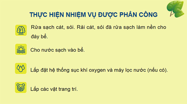 PowerPoint Sinh học 12 Bài 32 Kết nối tri thức 