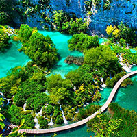 PowerPoint Sinh học 12 Bài 23: Môi trường và các nhân tố sinh thái