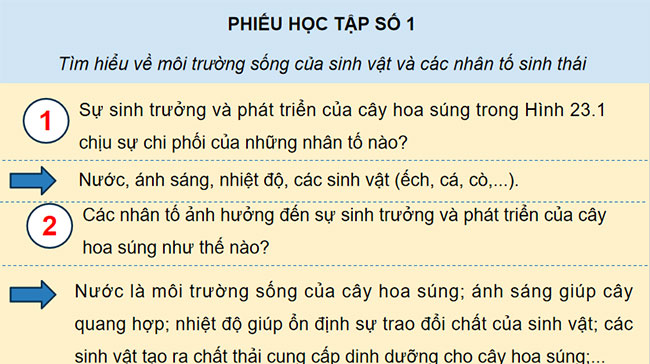 PowerPoint Sinh học 12 Bài 23 Kết nối tri thức