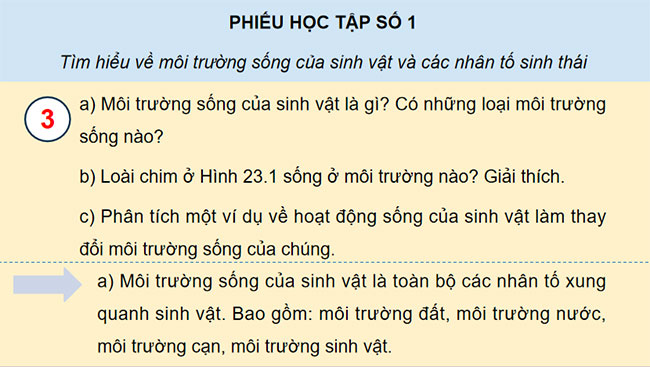 PowerPoint Sinh học 12 Bài 23 Kết nối tri thức