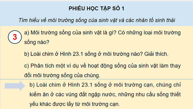 PowerPoint Sinh học 12 Bài 23 Kết nối tri thức