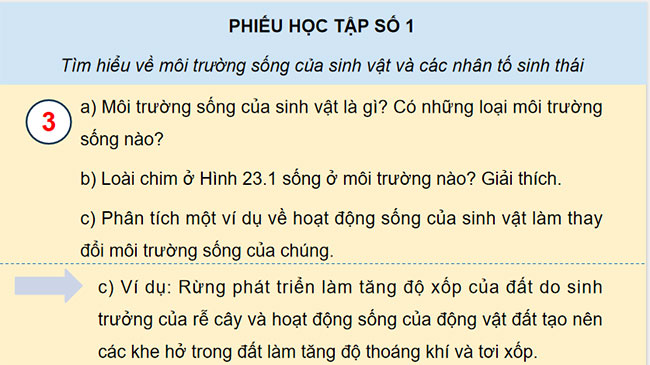 PowerPoint Sinh học 12 Bài 23 Kết nối tri thức