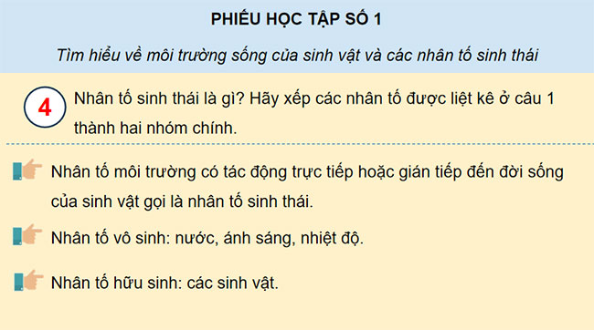 PowerPoint Sinh học 12 Bài 23 Kết nối tri thức