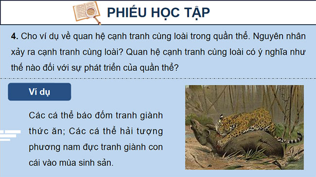 PowerPoint Sinh học 12 Bài 24 Kết nối tri thức