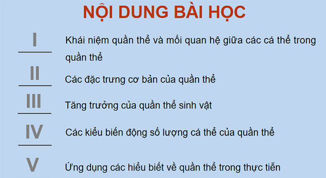 PowerPoint Sinh học 12 Bài 24 Kết nối tri thức