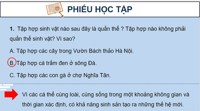 PowerPoint Sinh học 12 Bài 24 Kết nối tri thức