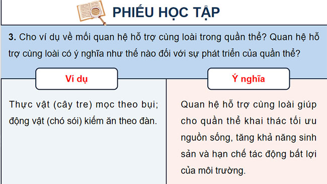 PowerPoint Sinh học 12 Bài 24 Kết nối tri thức