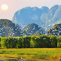 PowerPoint Sinh học 12 Bài 25: Thực hành Xác định một số đặc trưng của quần thể