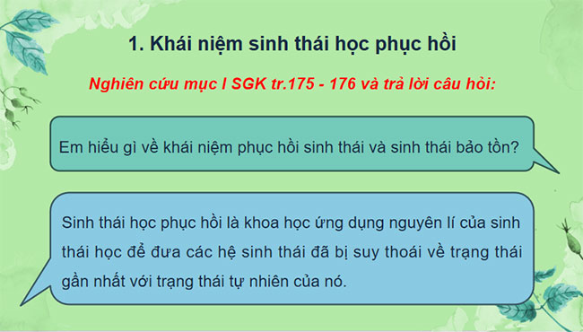 PowerPoint Sinh học 12 Bài 33 Kết nối tri thức