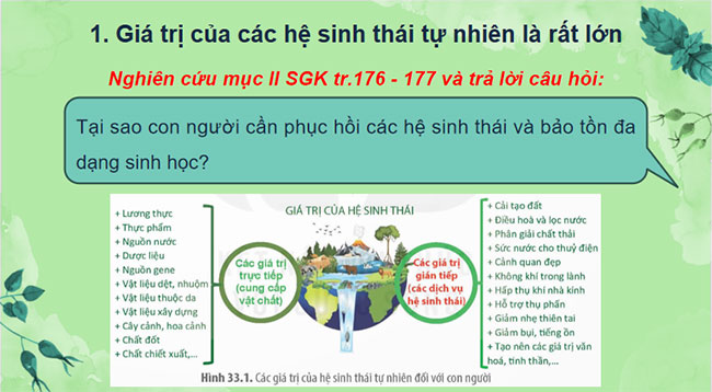 PowerPoint Sinh học 12 Bài 33 Kết nối tri thức