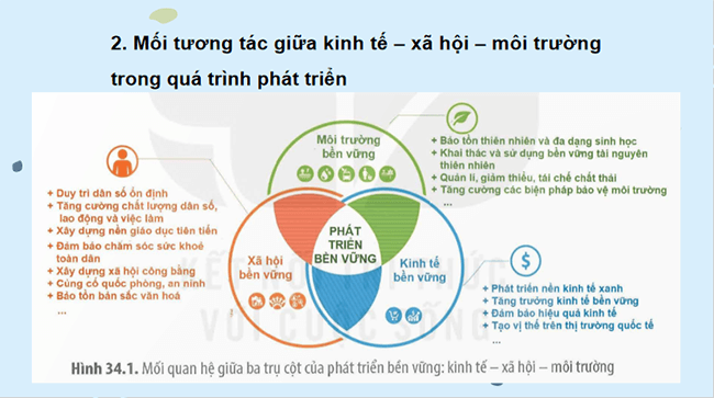 PowerPoint Sinh học 12 Bài 34 Kết nối tri thức 