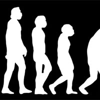 PowerPoint Khoa học tự nhiên 9 Bài 46: Khái niệm về tiến hoá và các hình thức chọn lọc