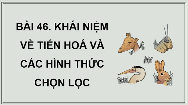 Giáo án KHTN 9 Bài 46