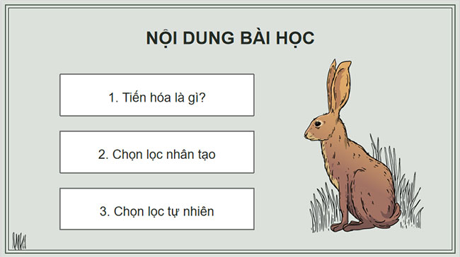 Giáo án KHTN 9 Bài 46