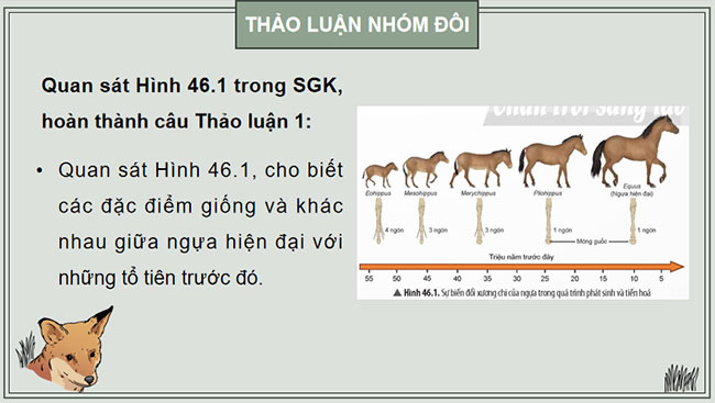 Giáo án KHTN 9 Bài 46