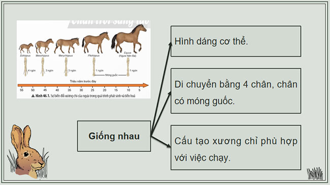 Giáo án KHTN 9 Bài 46