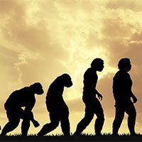 PowerPoint Khoa học tự nhiên 9 Bài 47: Cơ chế tiến hoá