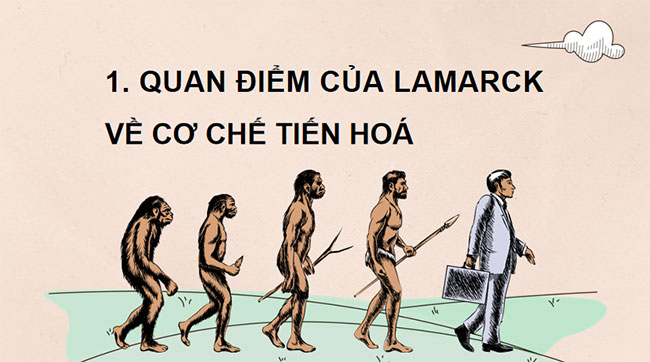 PowerPoint KHTN 9 Bài 47