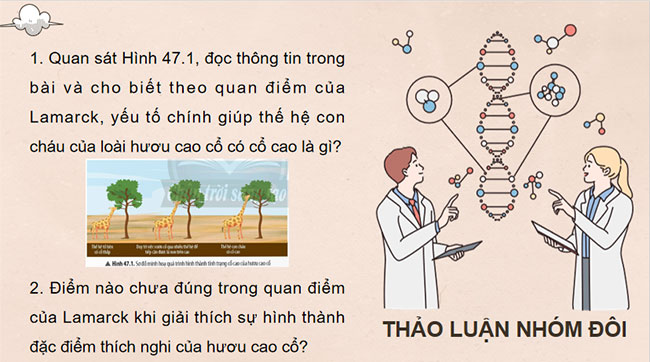 PowerPoint KHTN 9 Bài 47