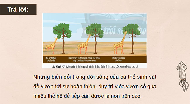 PowerPoint KHTN 9 Bài 47