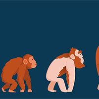 PowerPoint Khoa học tự nhiên 9 Bài 48: Phát sinh và phát triển của sự sống trên Trái Đất