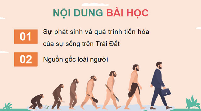 Giáo án KHTN 9 Chân trời sáng tạo Bài 48