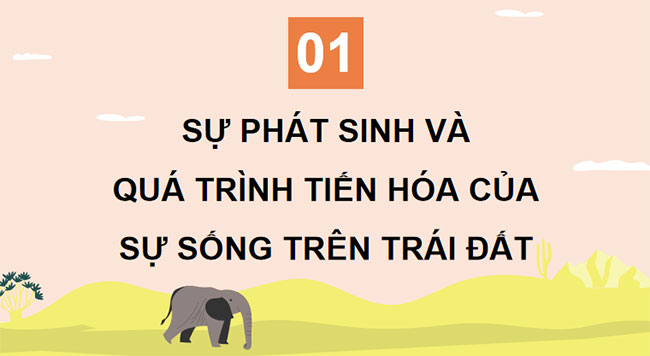 Giáo án KHTN 9 Chân trời sáng tạo Bài 48